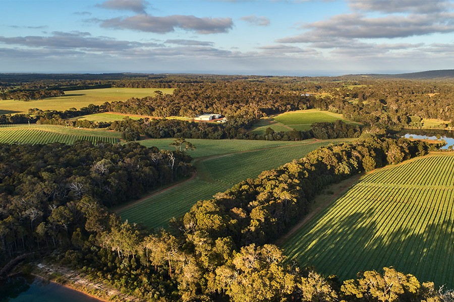 Gracetown Cowaramup Harvest